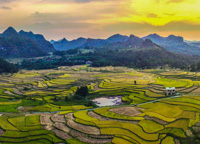 General Industry / Agriculture 