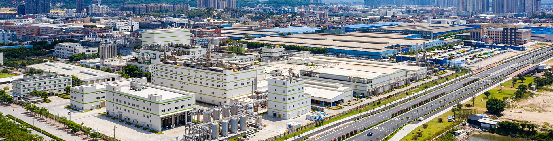 Company profile