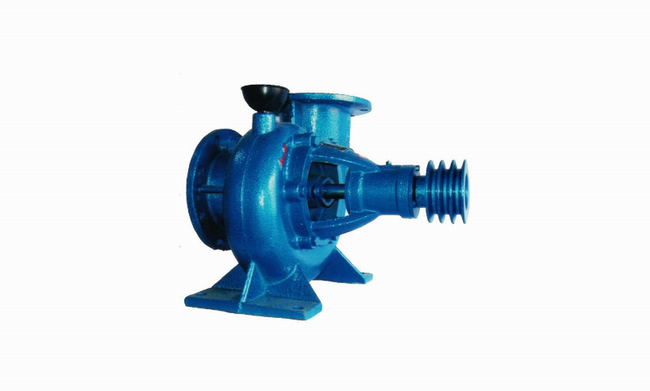 Diesel engine pump