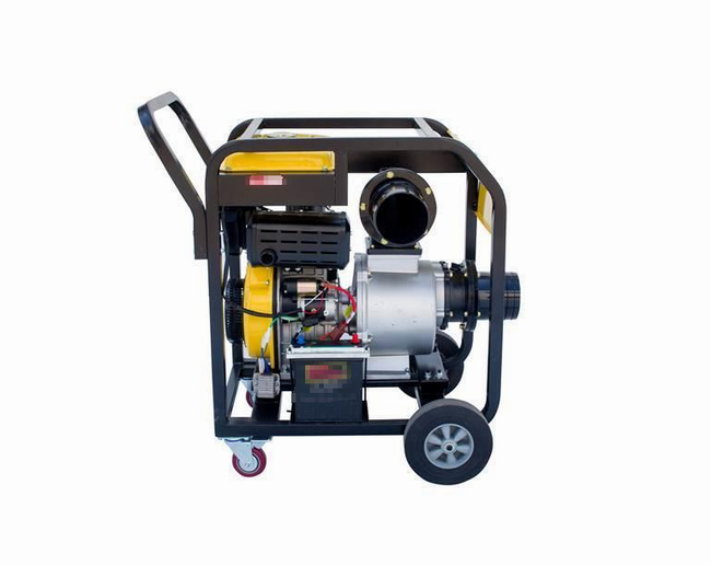 Diesel engine pump