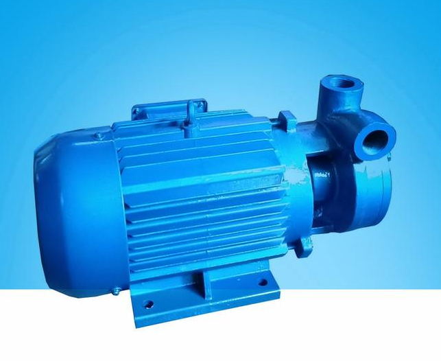 1W vortex pump