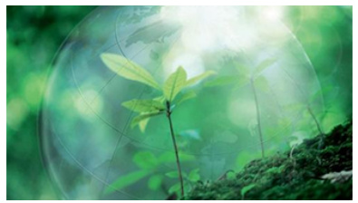 Intelligent&Sustainability